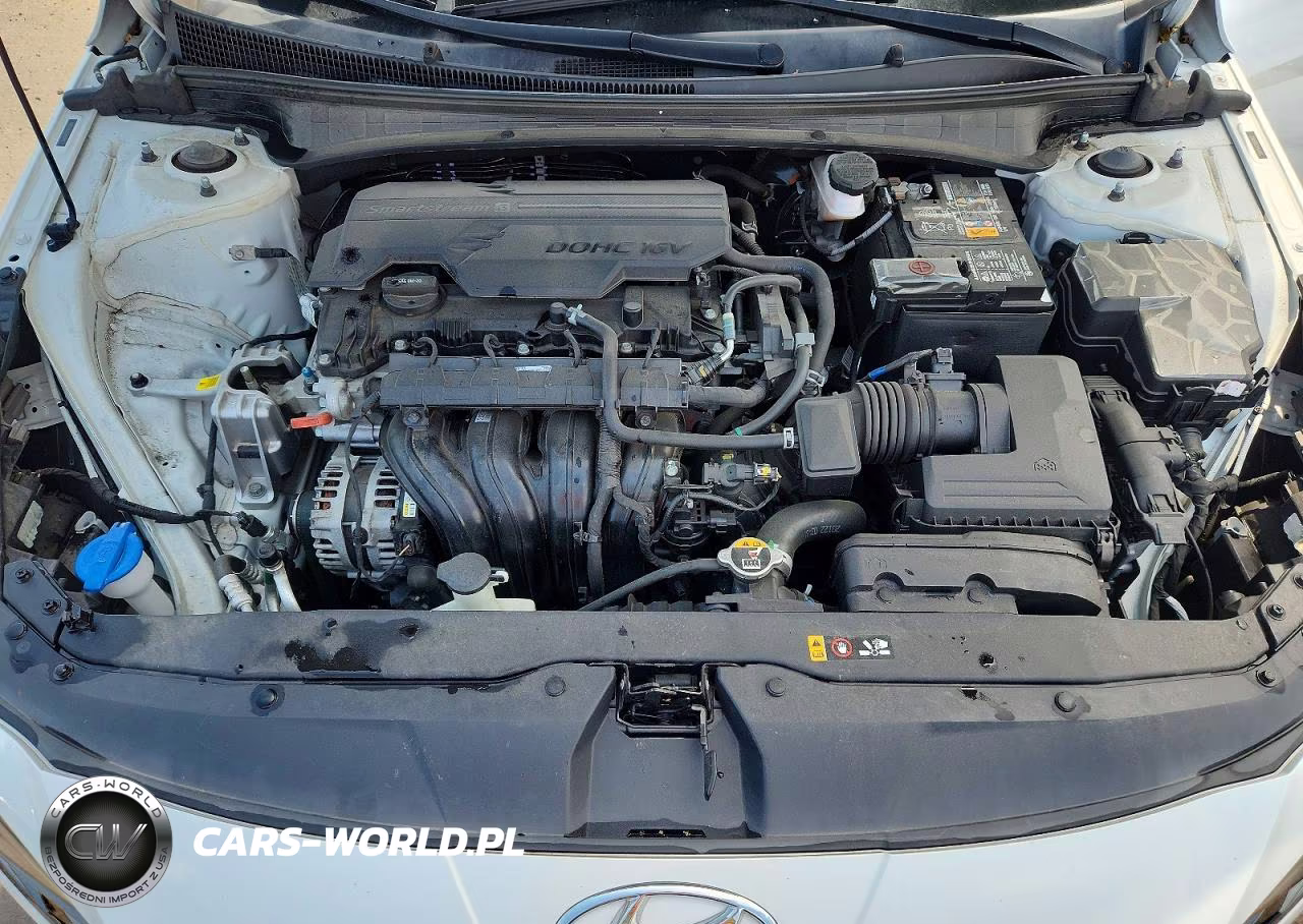 2021 Hyundai Elantra Limited VIN:5NPLP4AG1MH014171 - 11