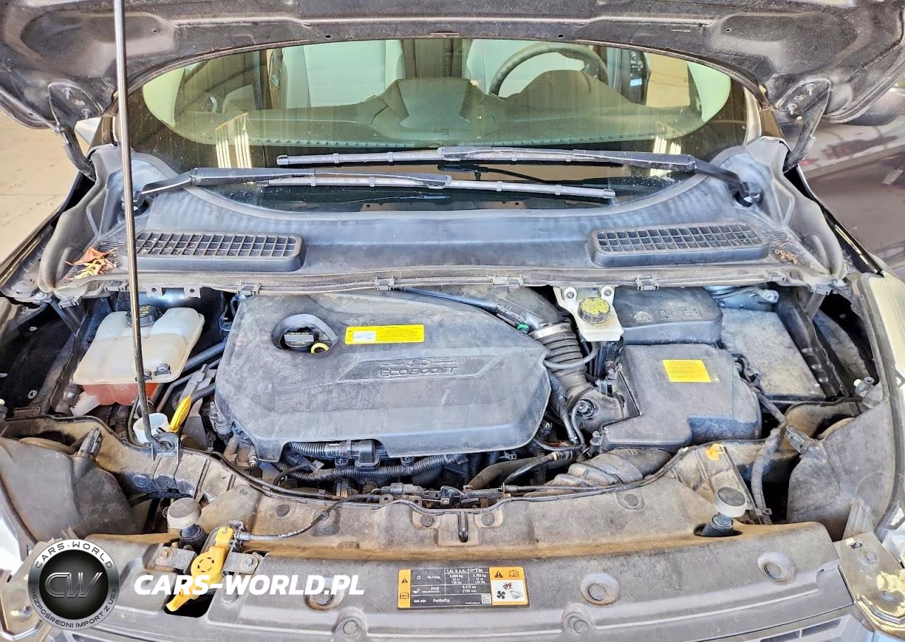 2016 Ford Escape Se VIN:1FMCU0GX0GUA92942 - 12