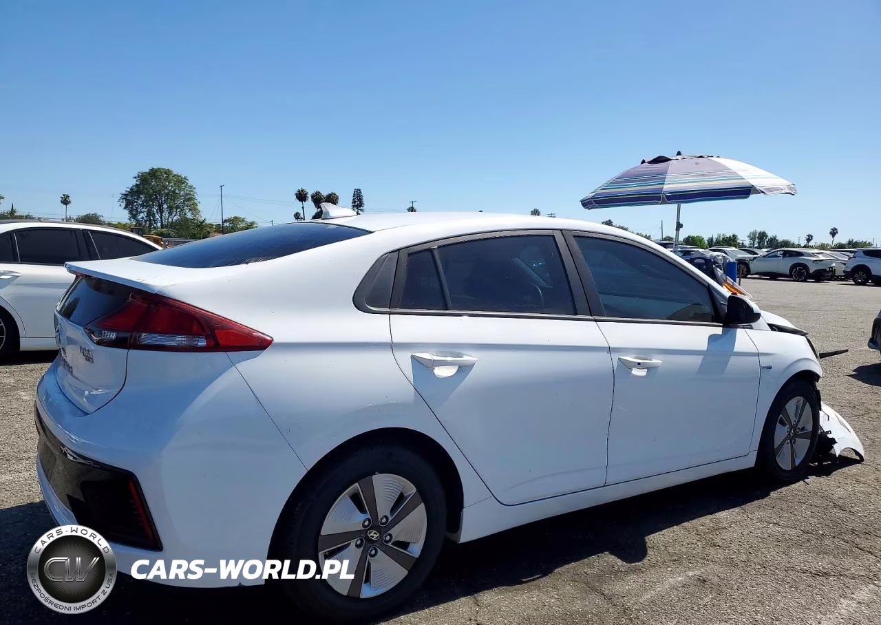 2017 Hyundai Ioniq VIN:KMHC65LC0HU039069 - 3