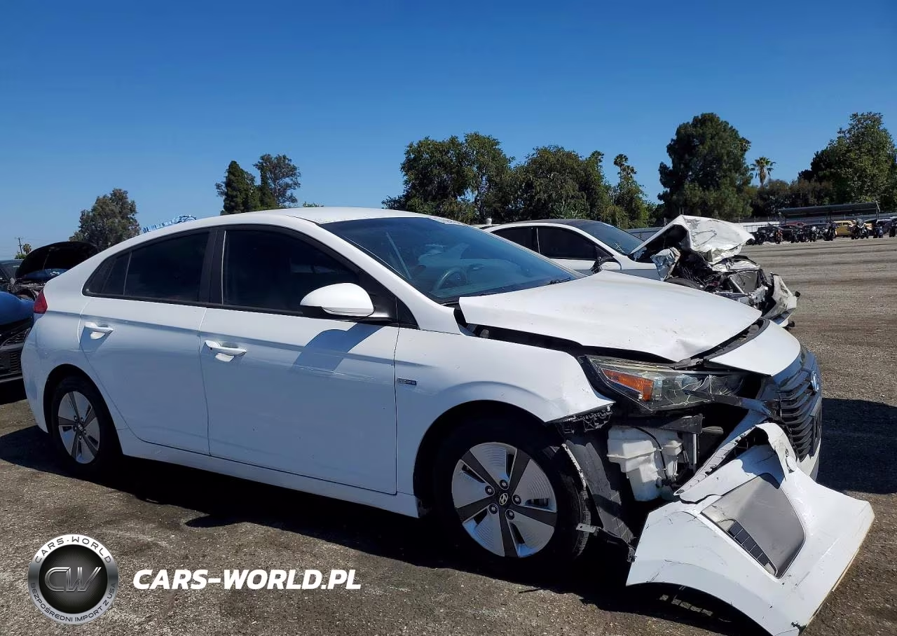 2017 Hyundai Ioniq VIN:KMHC65LC0HU039069 - 4