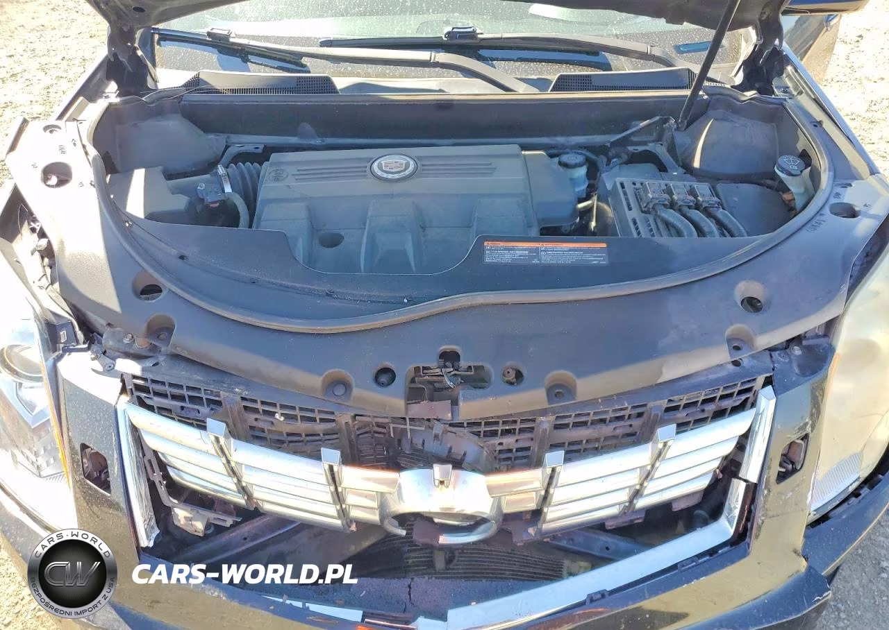 2013 Cadillac Srx Performance Collection VIN:3GYFNDE3XDS573213 - 12