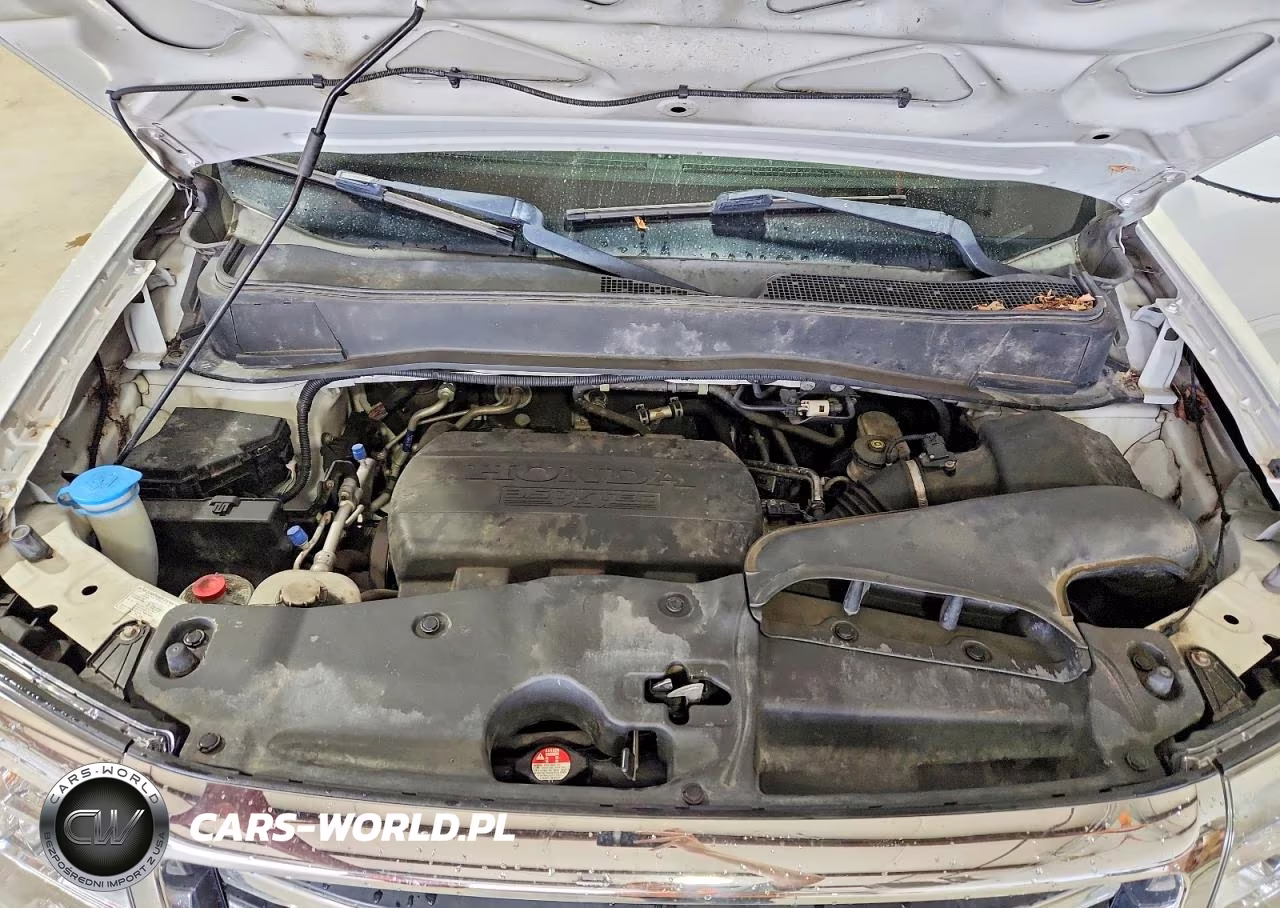 2014 Honda Pilot Exl VIN:5FNYF4H56EB005009 - 12