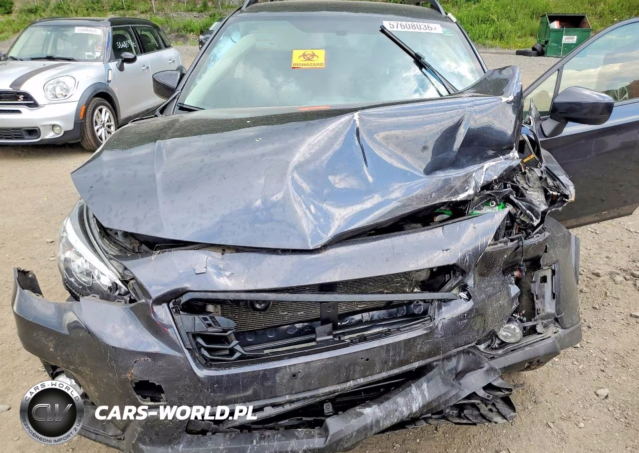 2019 Subaru Crosstrek Premium VIN:JF2GTACC2K8302915 - 11