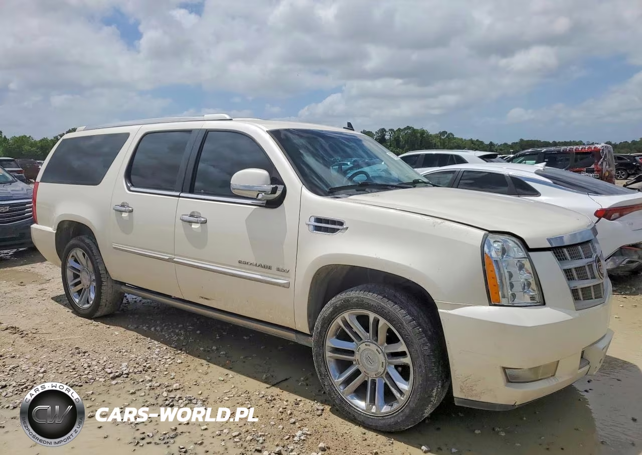 2013 Cadillac Escalade Esv Platinum VIN:1GYS3KEF5DR225406 - 4