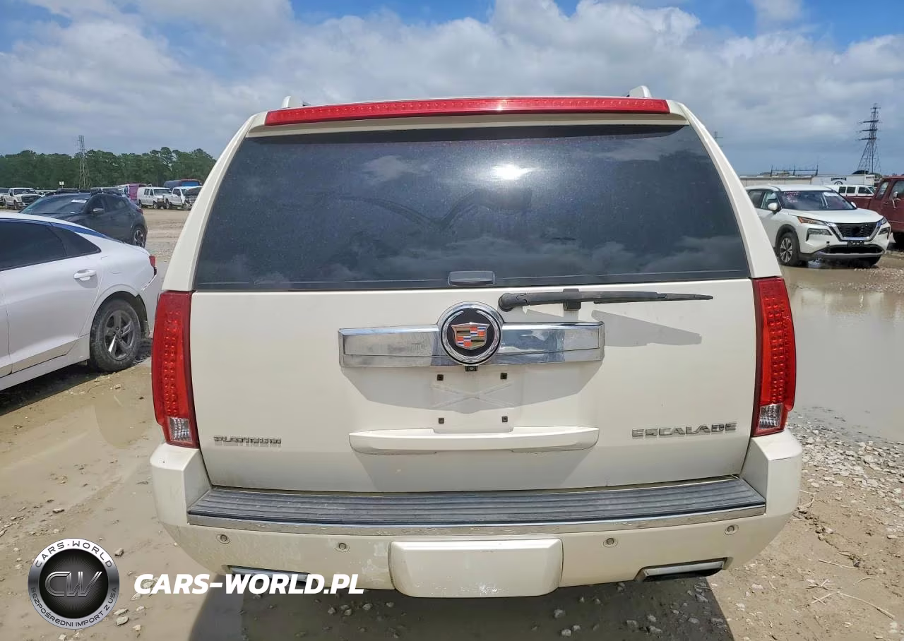 2013 Cadillac Escalade Esv Platinum VIN:1GYS3KEF5DR225406 - 6