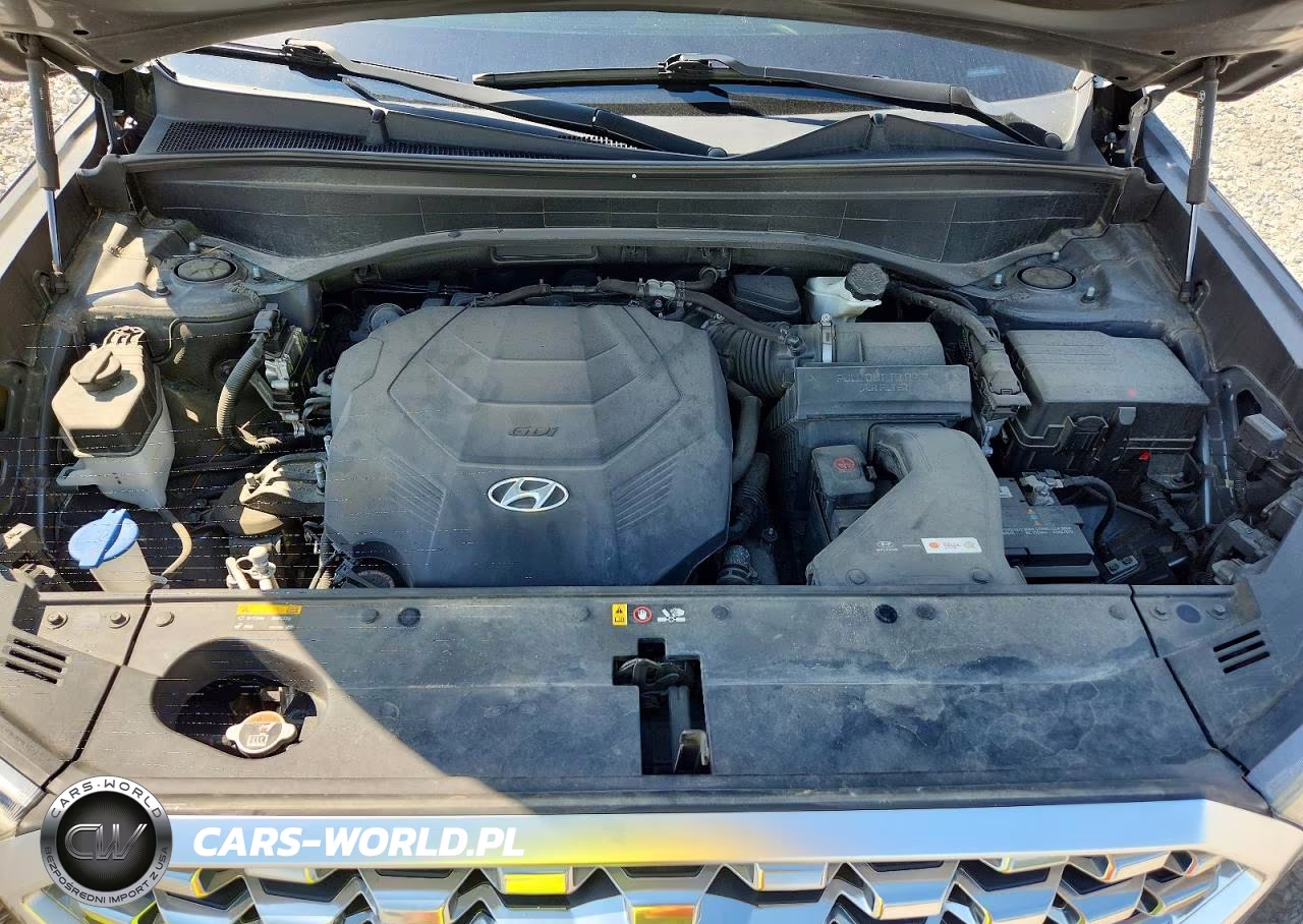 2020 Hyundai Palisade Sel VIN:KM8R34HE1LU096185 - 12