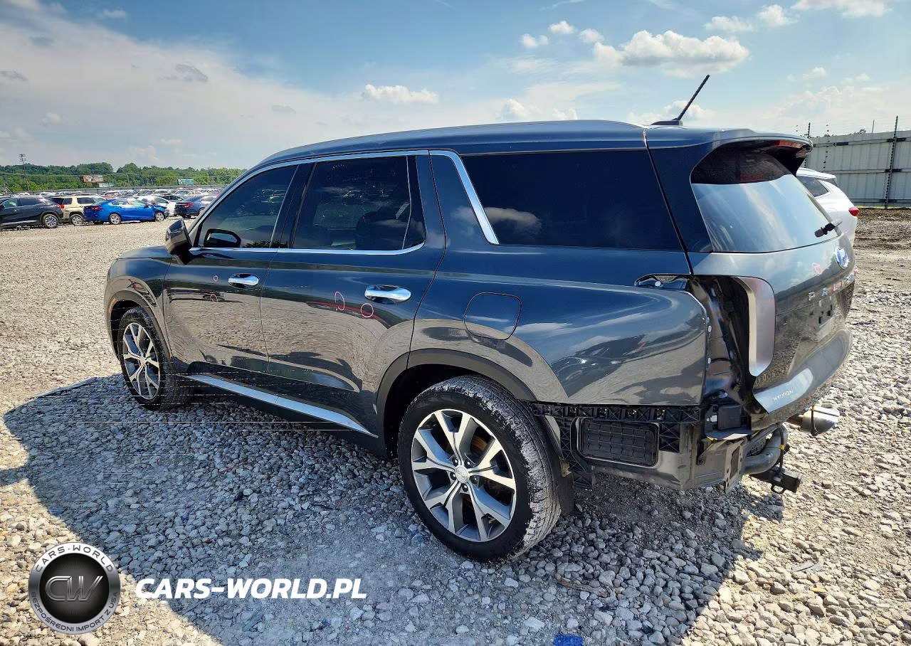 2020 Hyundai Palisade Sel VIN:KM8R34HE1LU096185 - 2