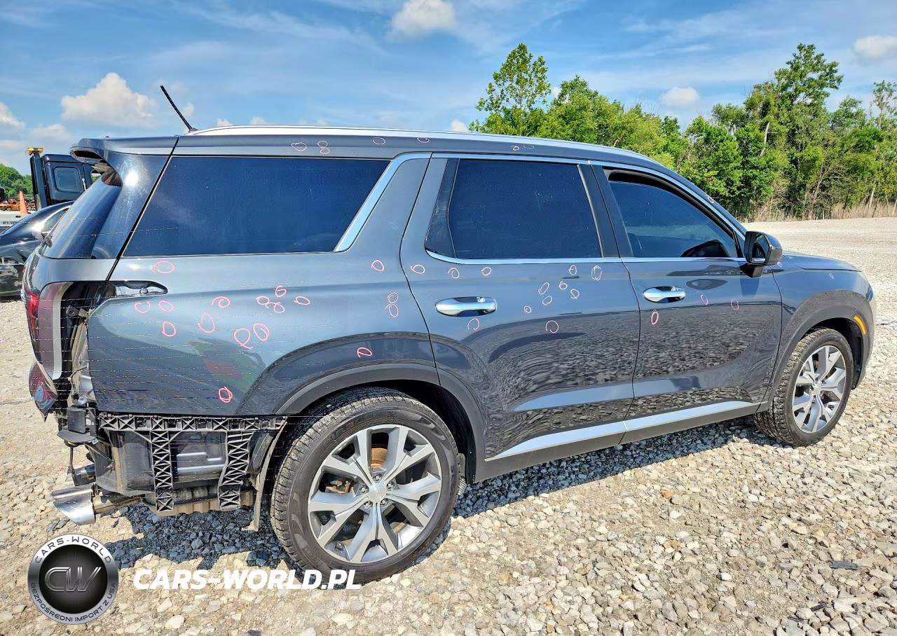 2020 Hyundai Palisade Sel VIN:KM8R34HE1LU096185 - 3
