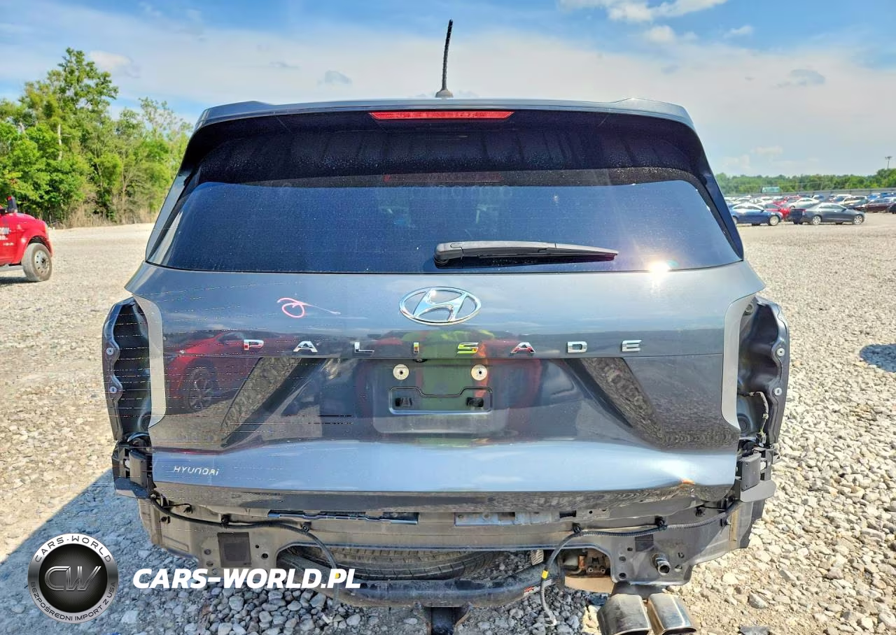 2020 Hyundai Palisade Sel VIN:KM8R34HE1LU096185 - 6