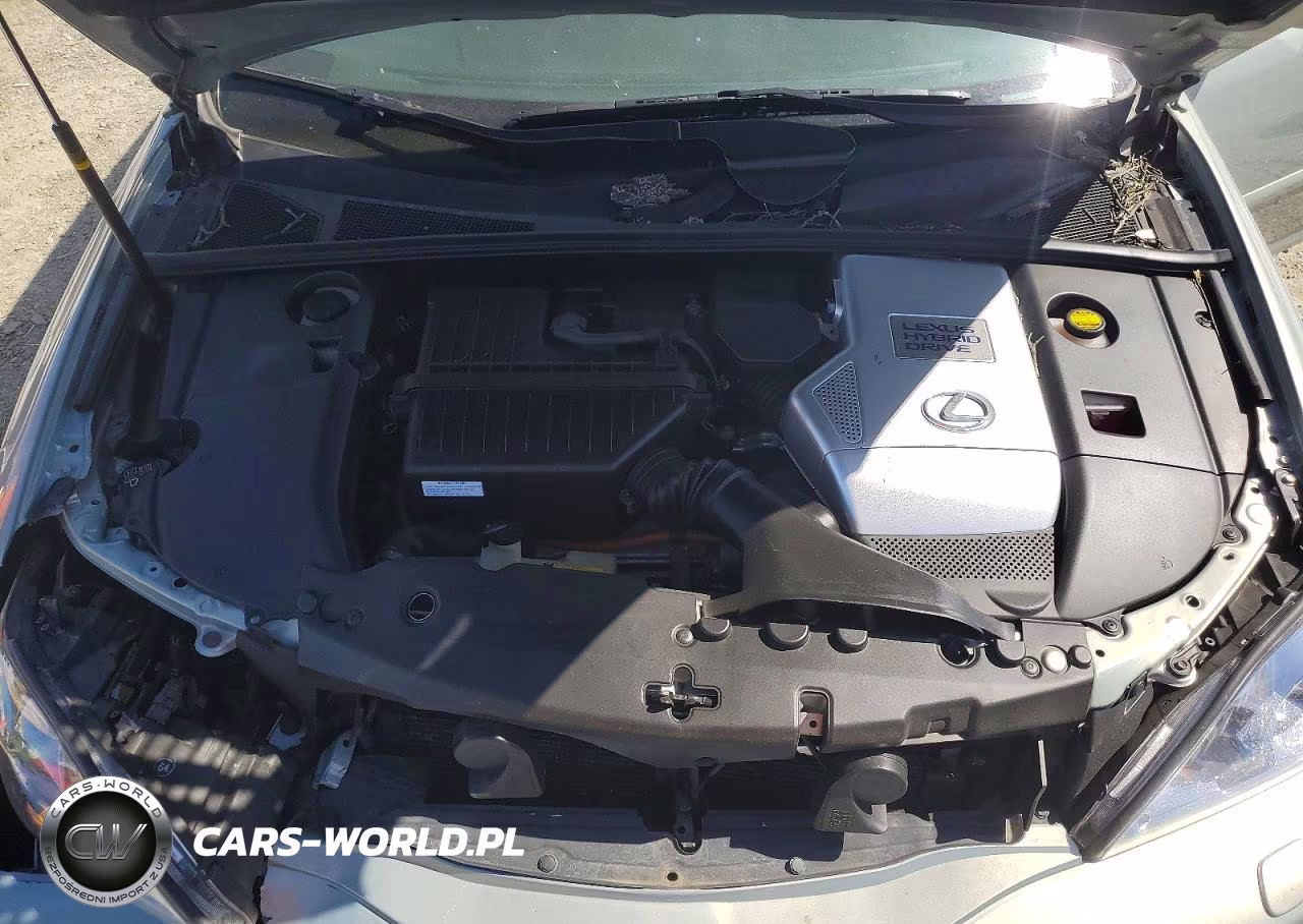 2008 Lexus Rx 400H VIN:JTJHW31U882046161 - 11