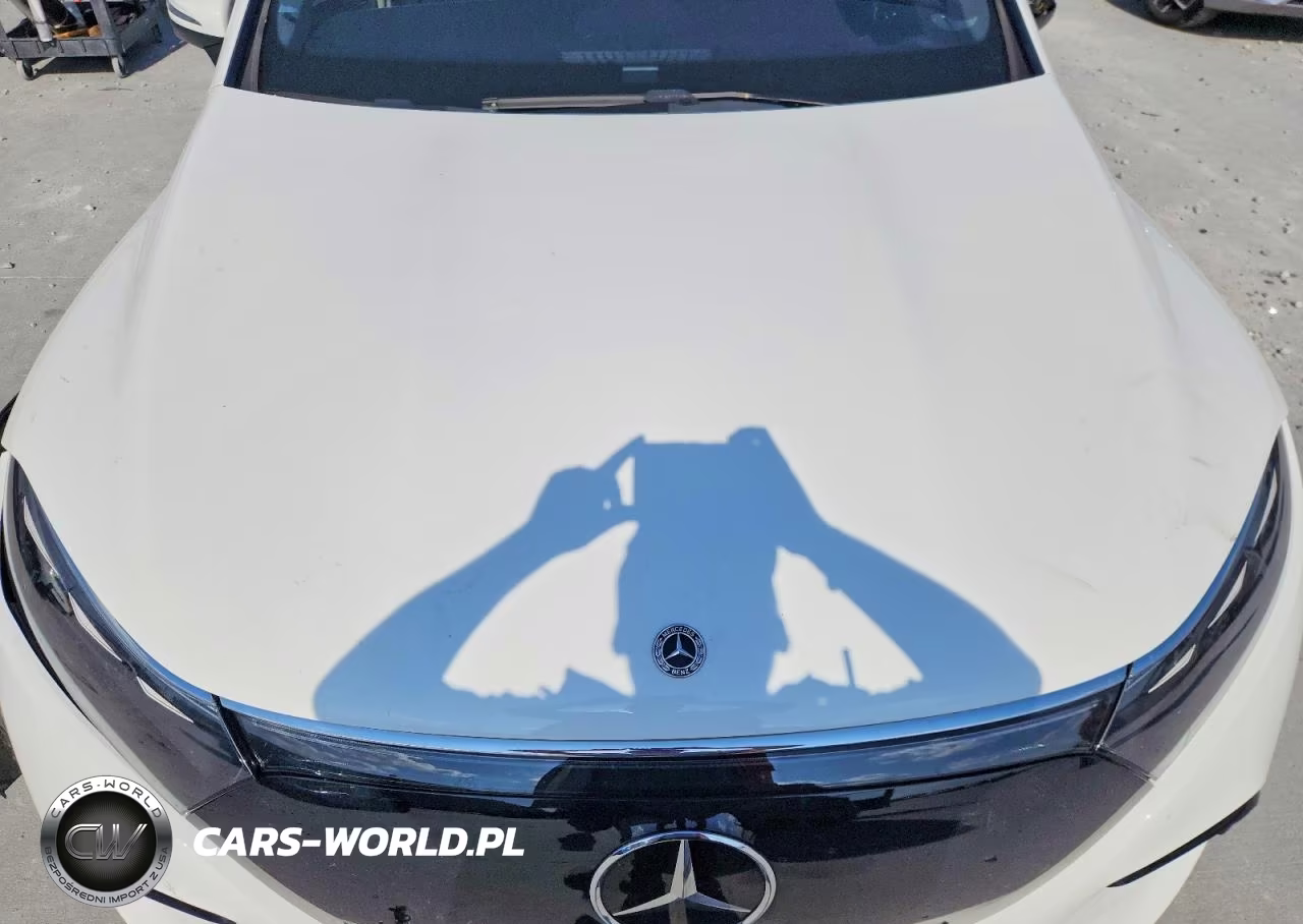 2023 Mercedes-Benz Eqs Suv 450+ VIN:4JGDM2DBXPA009544 - 12