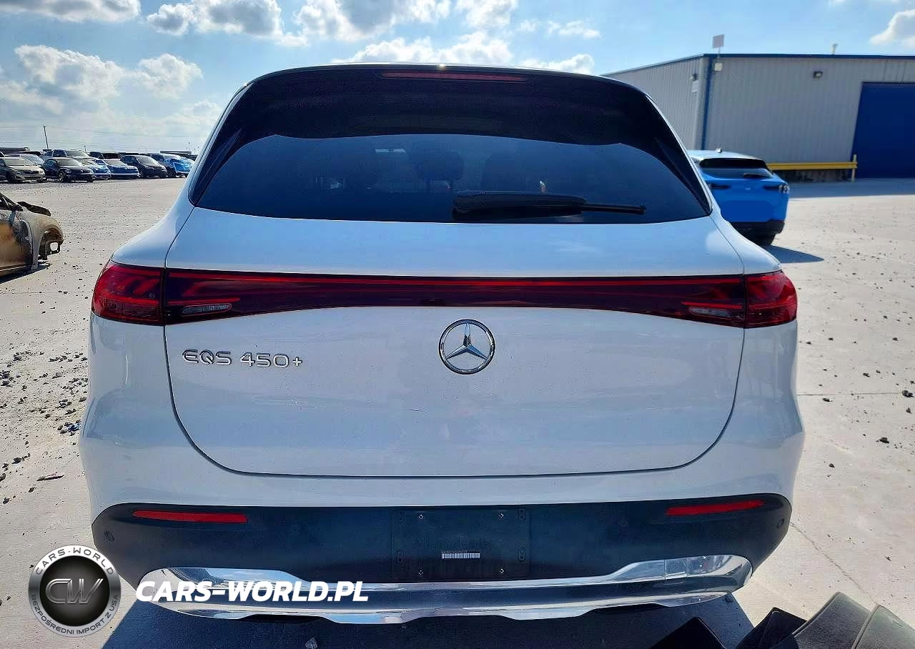 2023 Mercedes-Benz Eqs Suv 450+ VIN:4JGDM2DBXPA009544 - 6
