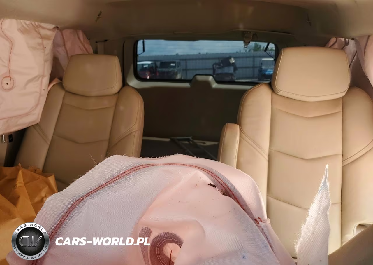 2017 Cadillac Escalade Luxury VIN:1GYS4BKJXHR316196 - 10