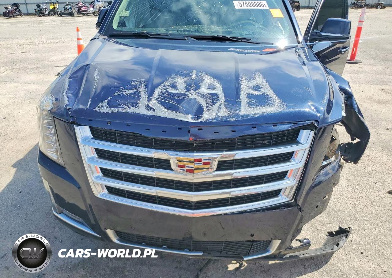 2017 Cadillac Escalade Luxury VIN:1GYS4BKJXHR316196 - 12