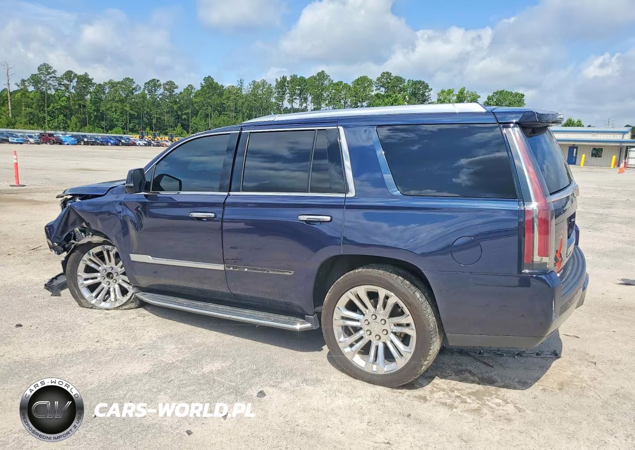 2017 Cadillac Escalade Luxury VIN:1GYS4BKJXHR316196 - 2