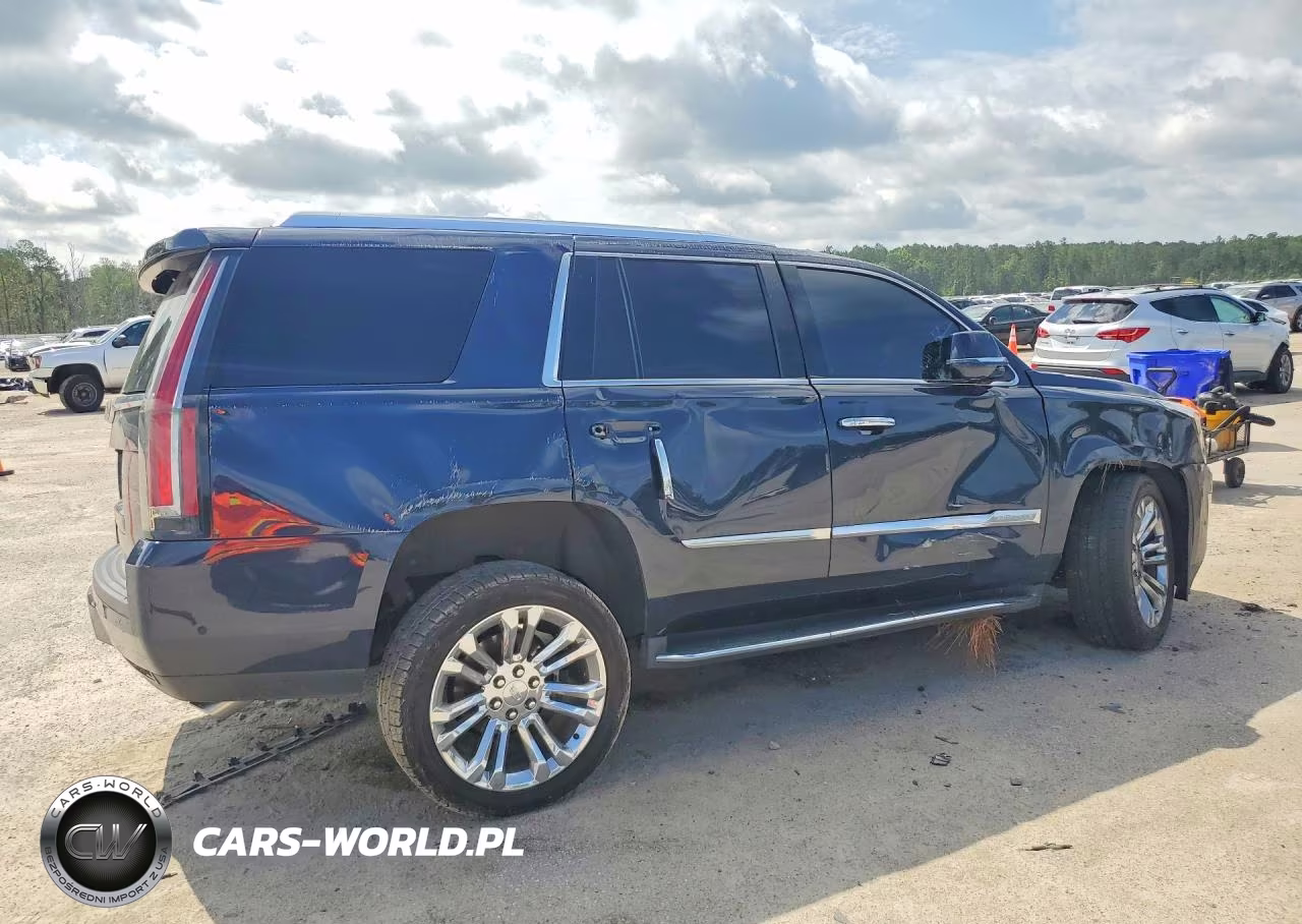 2017 Cadillac Escalade Luxury VIN:1GYS4BKJXHR316196 - 3