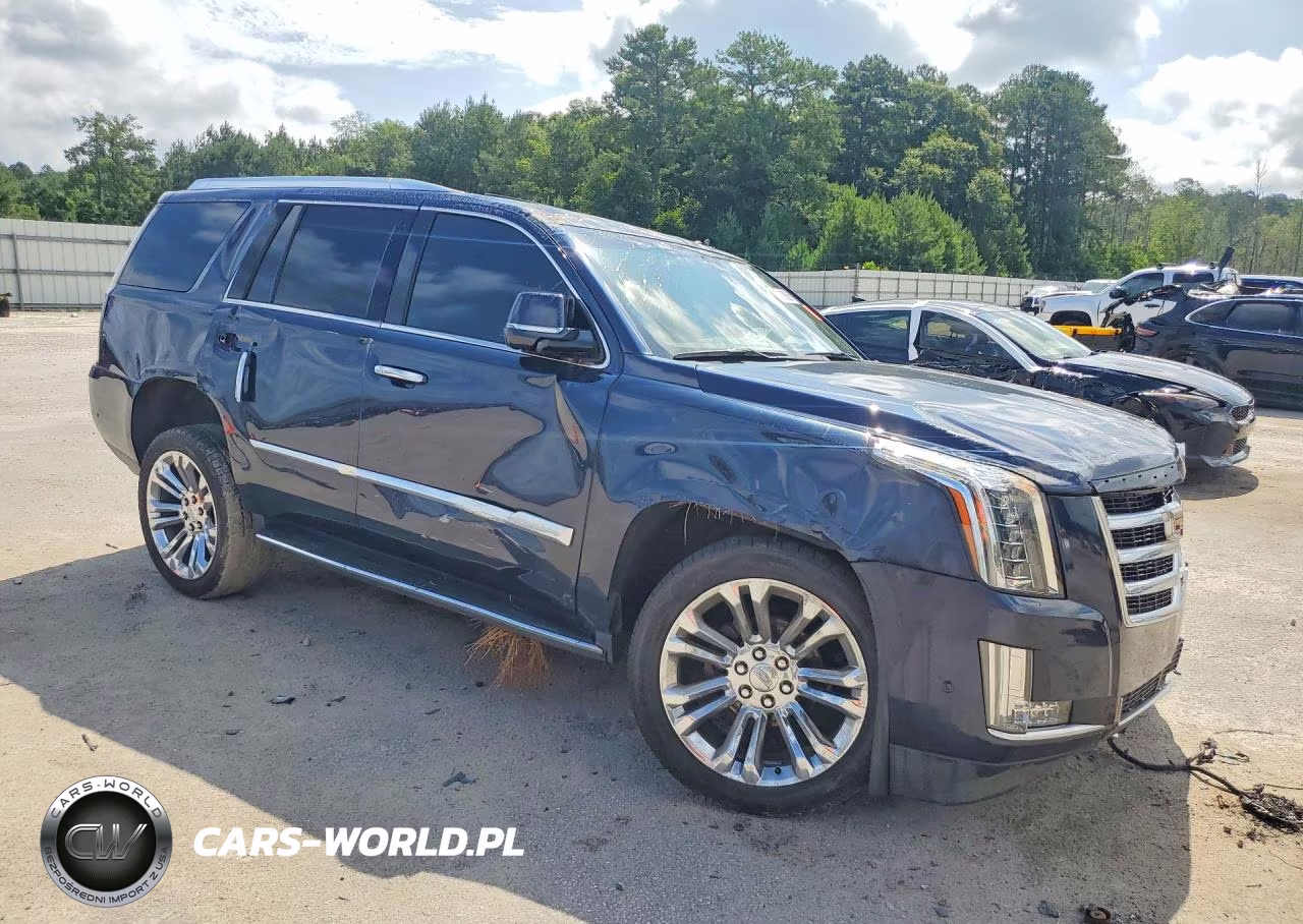 2017 Cadillac Escalade Luxury VIN:1GYS4BKJXHR316196 - 4
