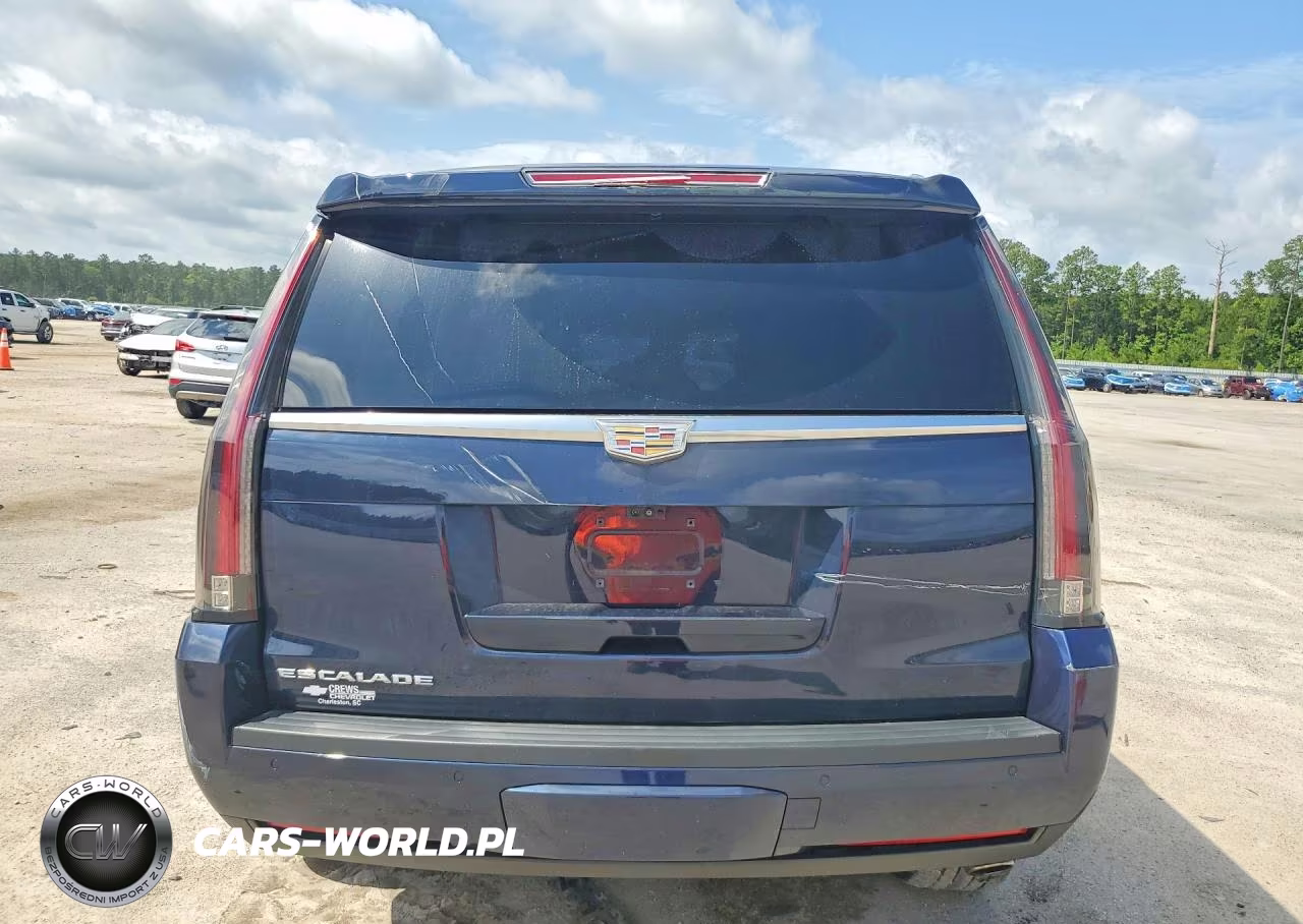 2017 Cadillac Escalade Luxury VIN:1GYS4BKJXHR316196 - 6