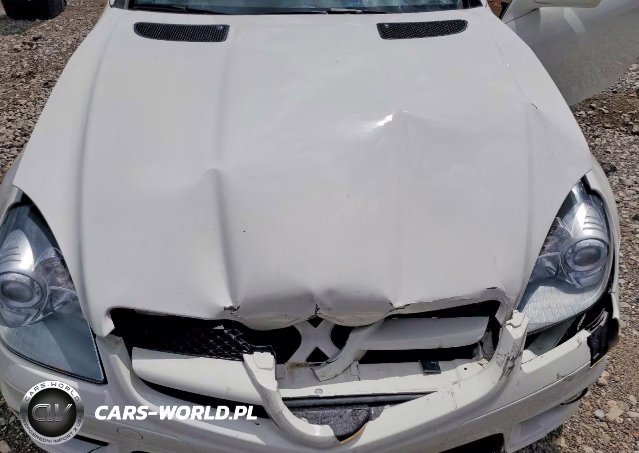 2011 Mercedes-Benz Slk 300 VIN:WDBWK5EA9BF239032 - 11