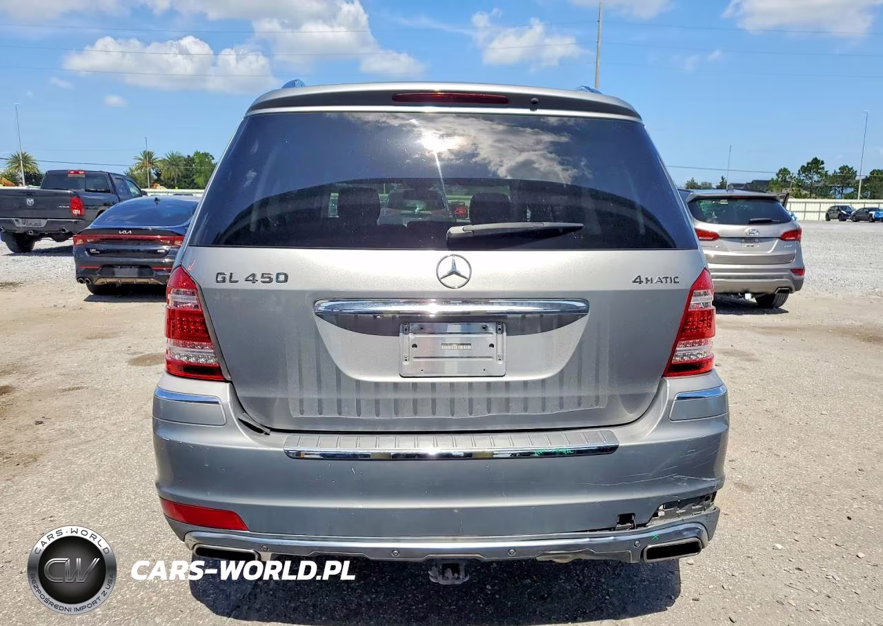 2010 Mercedes-Benz Gl 450 4Matic VIN:4JGBF7BE4AA546073 - 6