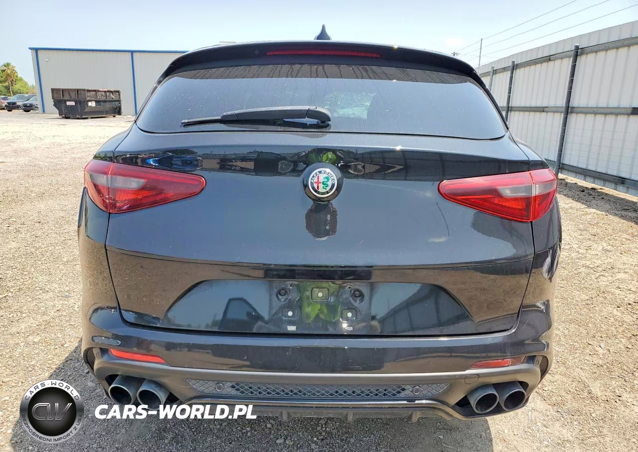 2018 Alfa Romeo Stelvio Quadrifoglio VIN:ZASFAKEV6J7C15633 - 6