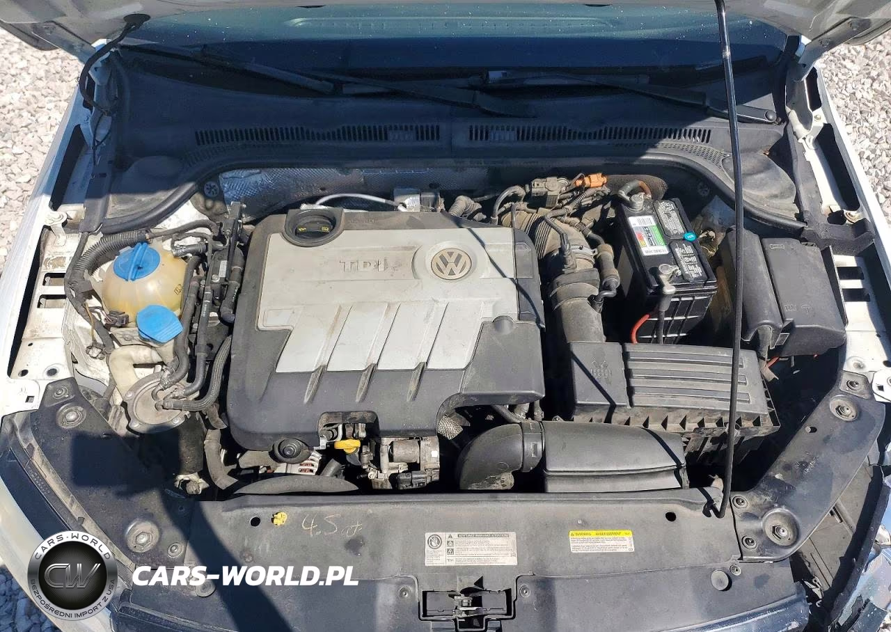 2014 Volkswagen Jetta Tdi VIN:3VWLL7AJ9EM295136 - 11