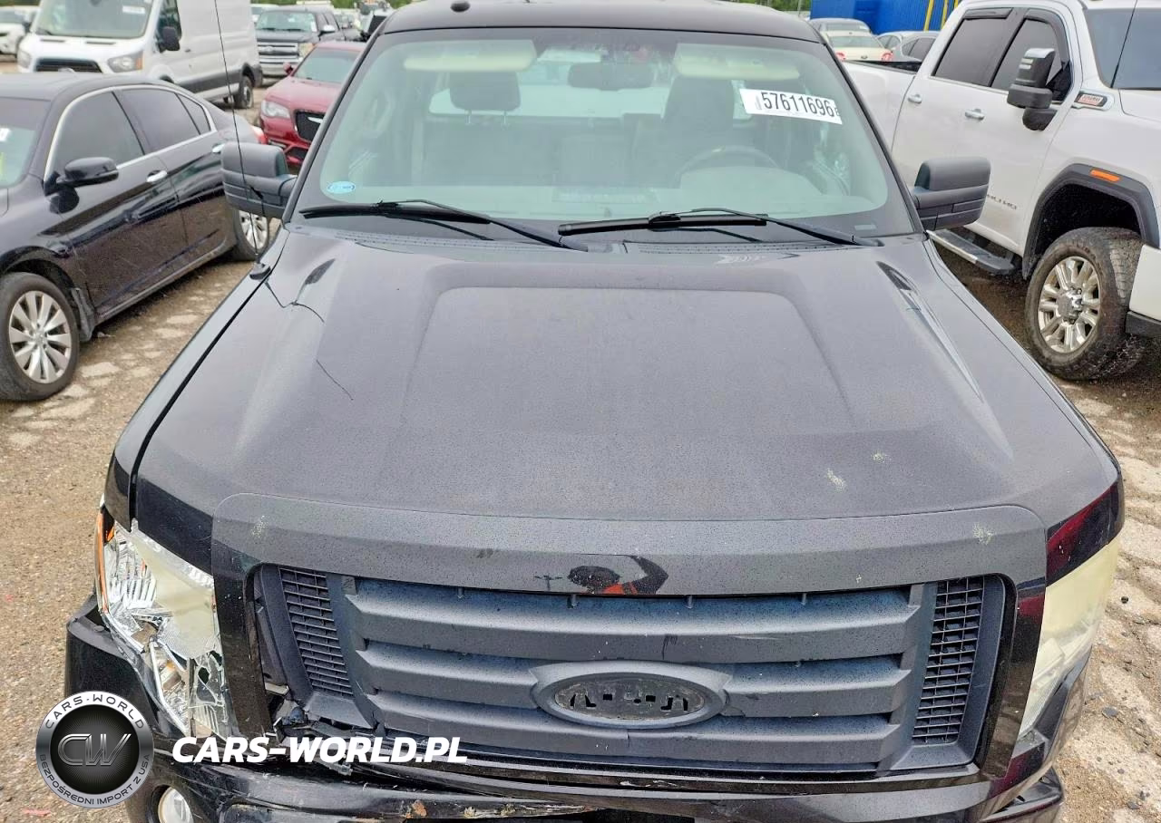 2009 Ford F150 VIN:1FTRF12W29KB90575 - 11