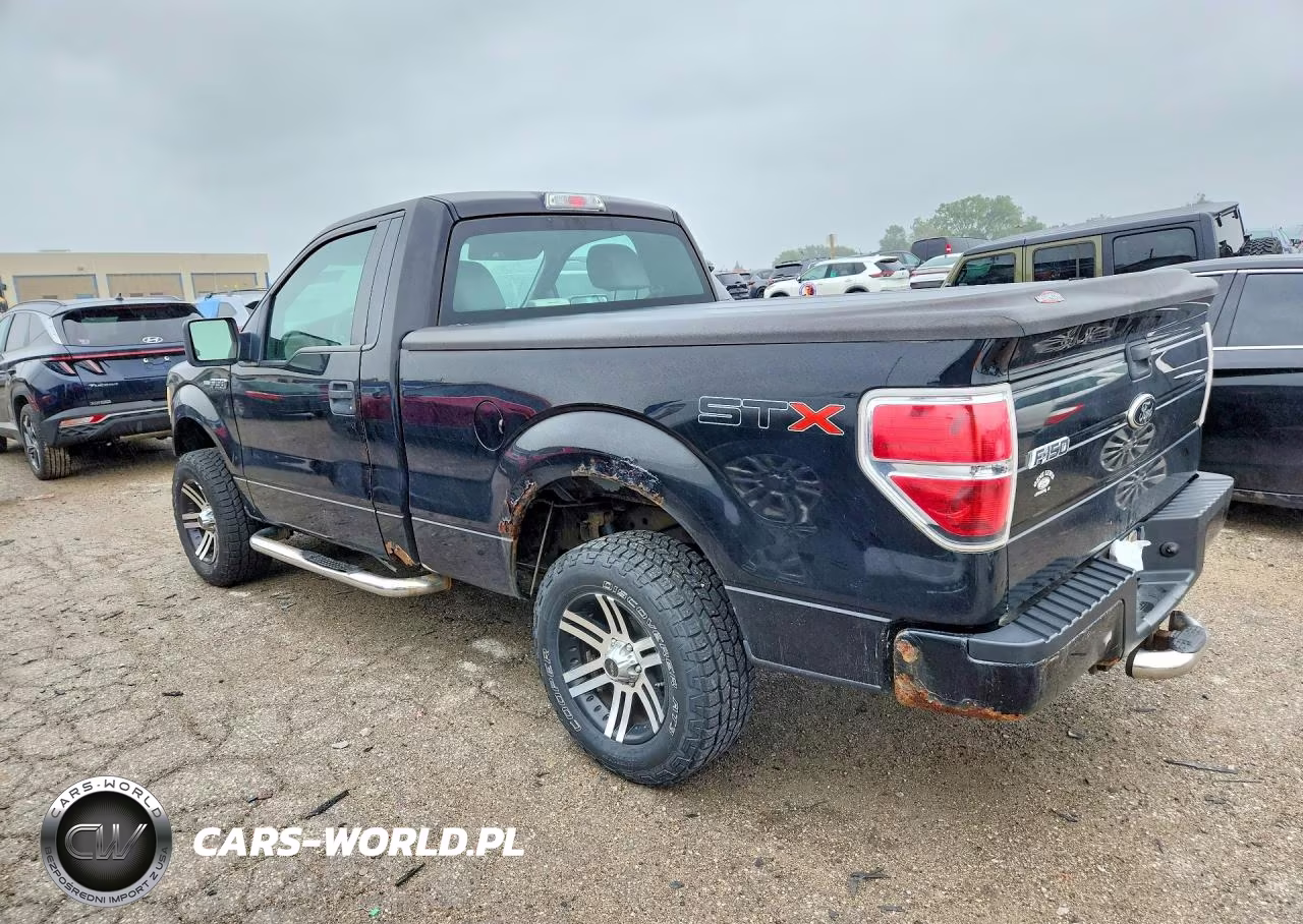 2009 Ford F150 VIN:1FTRF12W29KB90575 - 2