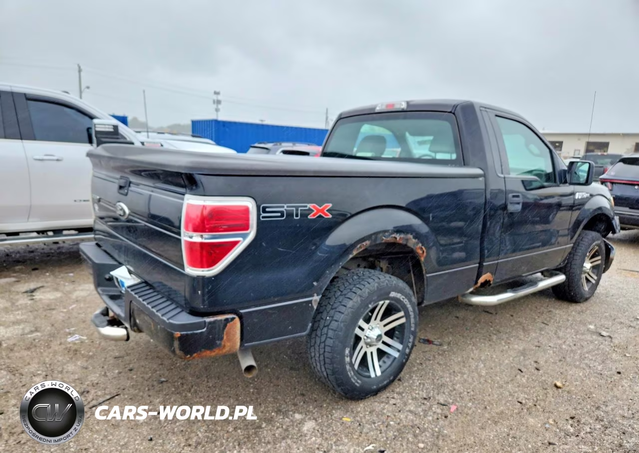2009 Ford F150 VIN:1FTRF12W29KB90575 - 3