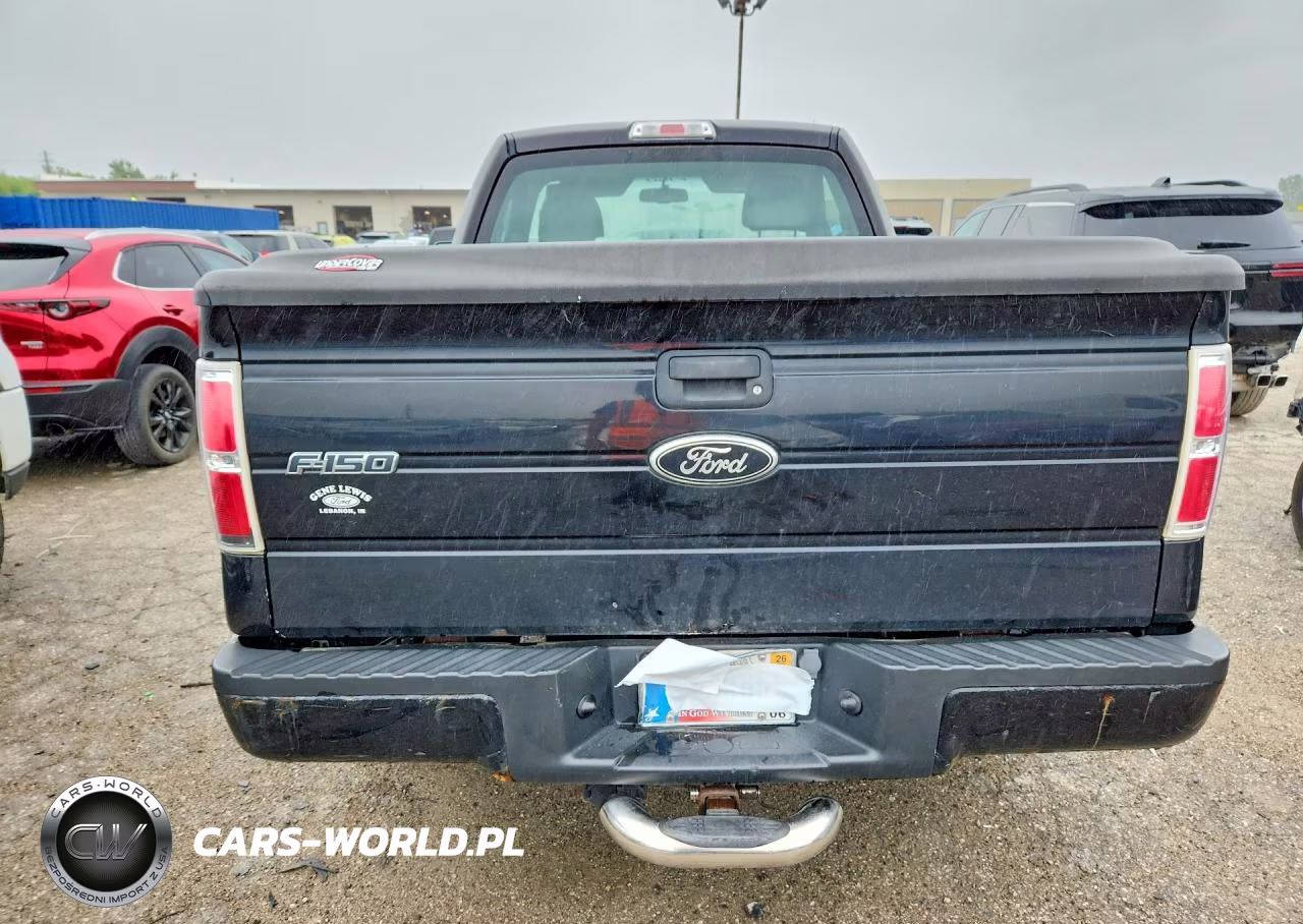 2009 Ford F150 VIN:1FTRF12W29KB90575 - 6