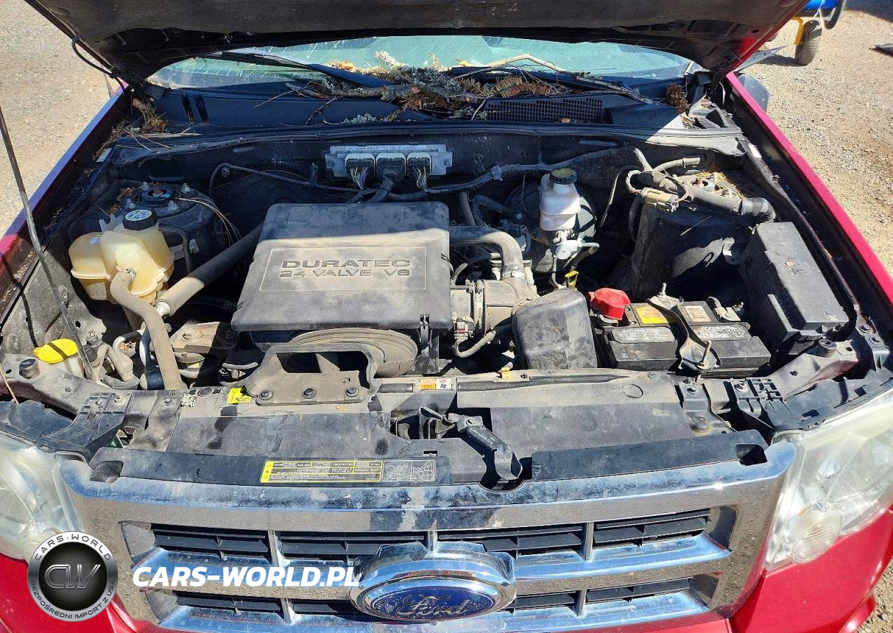 2009 Ford Escape Xlt VIN:1FMCU93G49KC11701 - 11