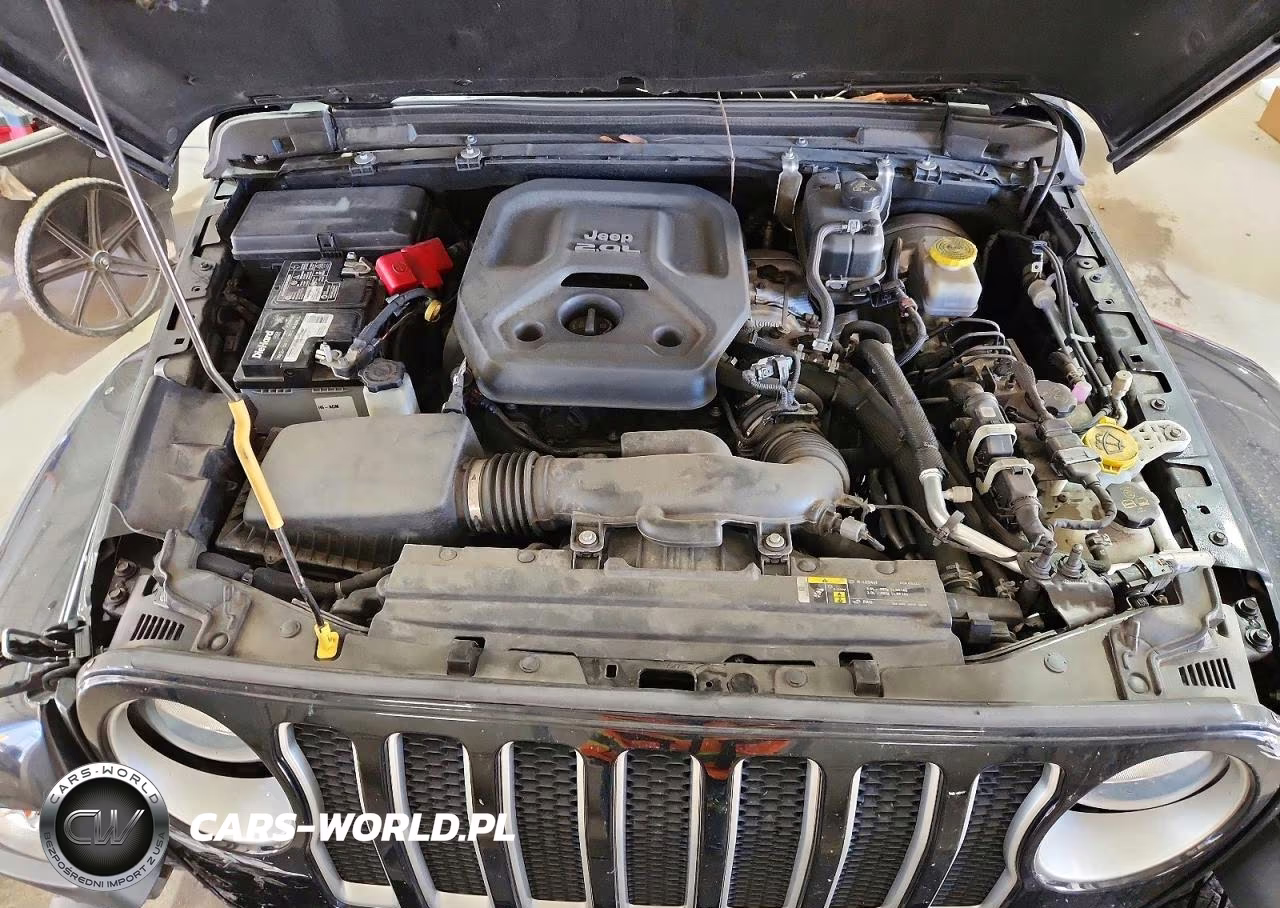 2019 Jeep Wrangler Unlimited Sahara VIN:1C4HJXEN1KW593025 - 12