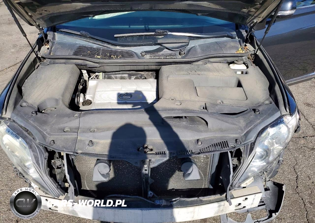 2010 Lexus Rx 350 VIN:2T2BK1BA9AC036139 - 11
