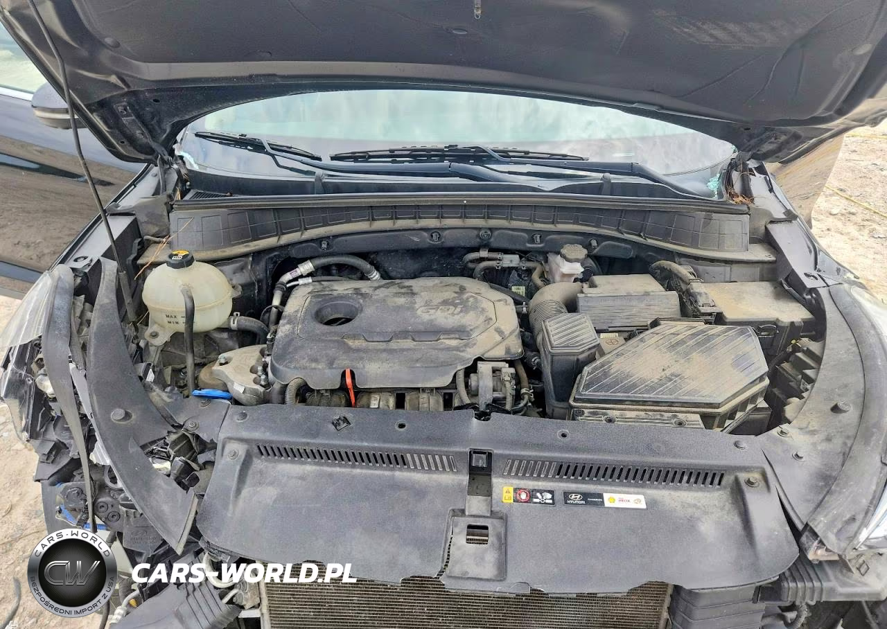 2019 Hyundai Tucson Ultimate VIN:KM8J3CAL5KU887074 - 12