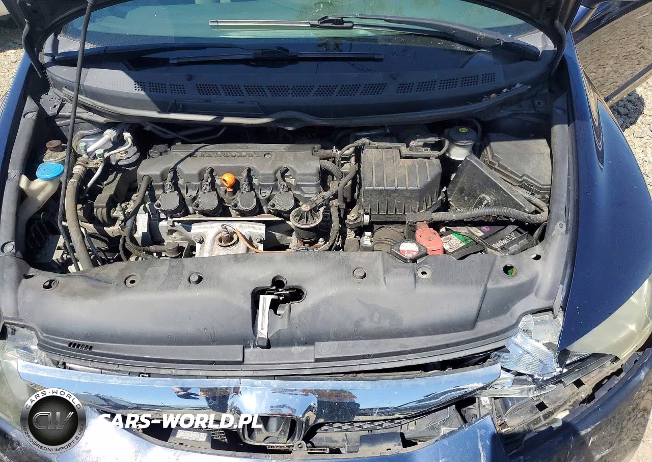 2010 Honda Civic Exl VIN:19XFA1F9XAE055499 - 11