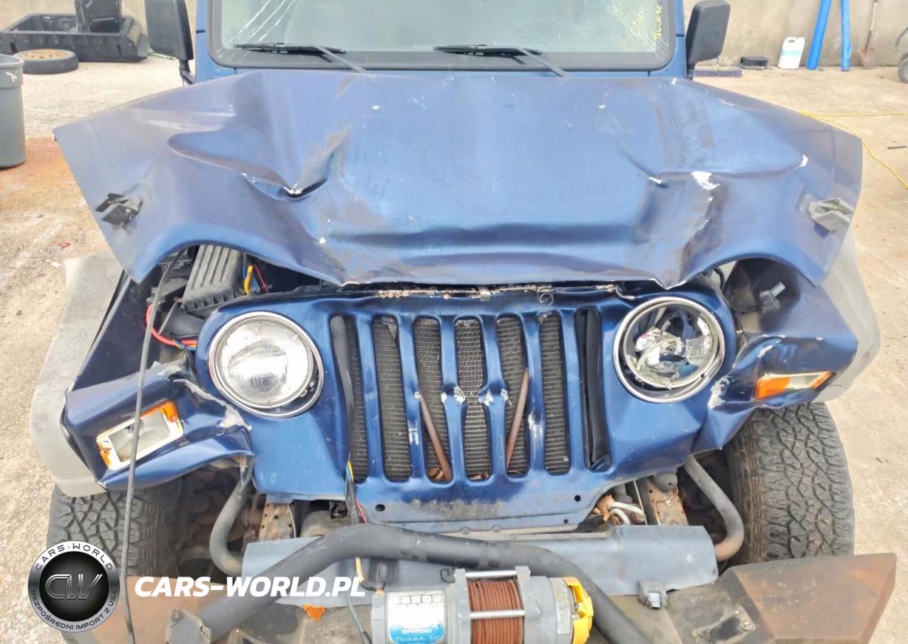 2002 Jeep Wrangler - Tj X VIN:1J4FA39S02P708301 - 11