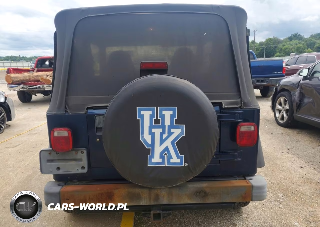 2002 Jeep Wrangler - Tj X VIN:1J4FA39S02P708301 - 6