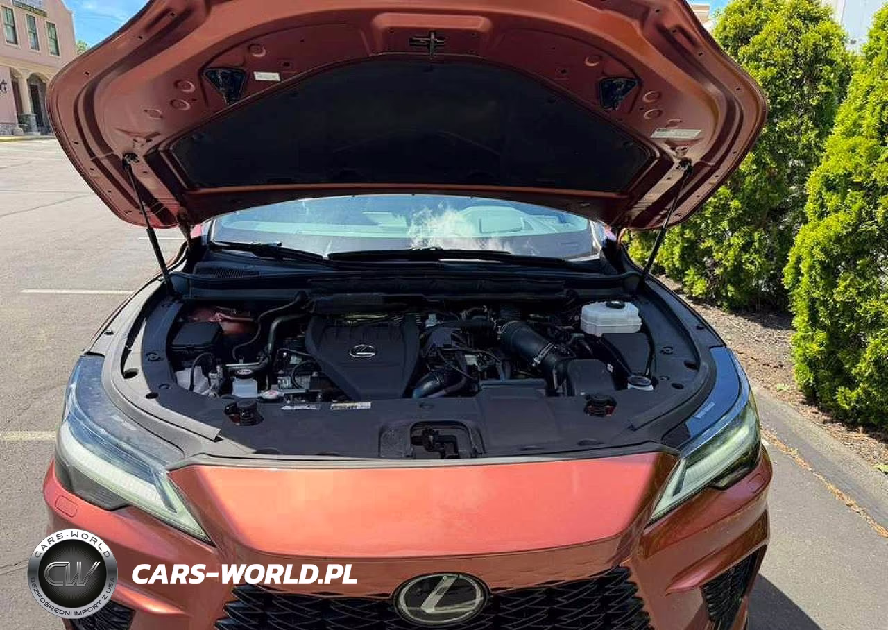 2023 Lexus Rx 500H F Sport VIN:2T2BCMEA9PC005590 - 9