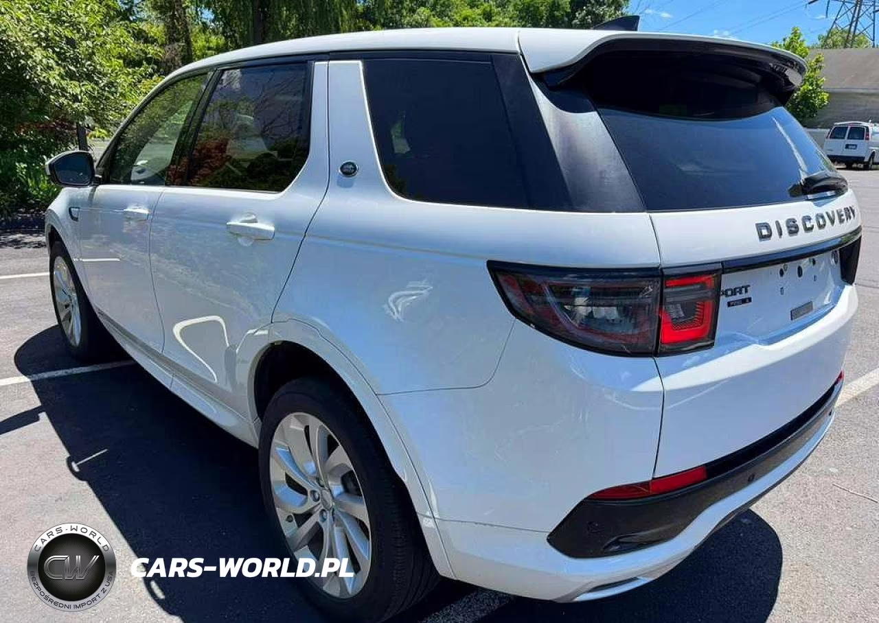 2020 Land Rover Discovery Sport S R-Dynamic VIN:SALCT2FX4LH837353 - 2