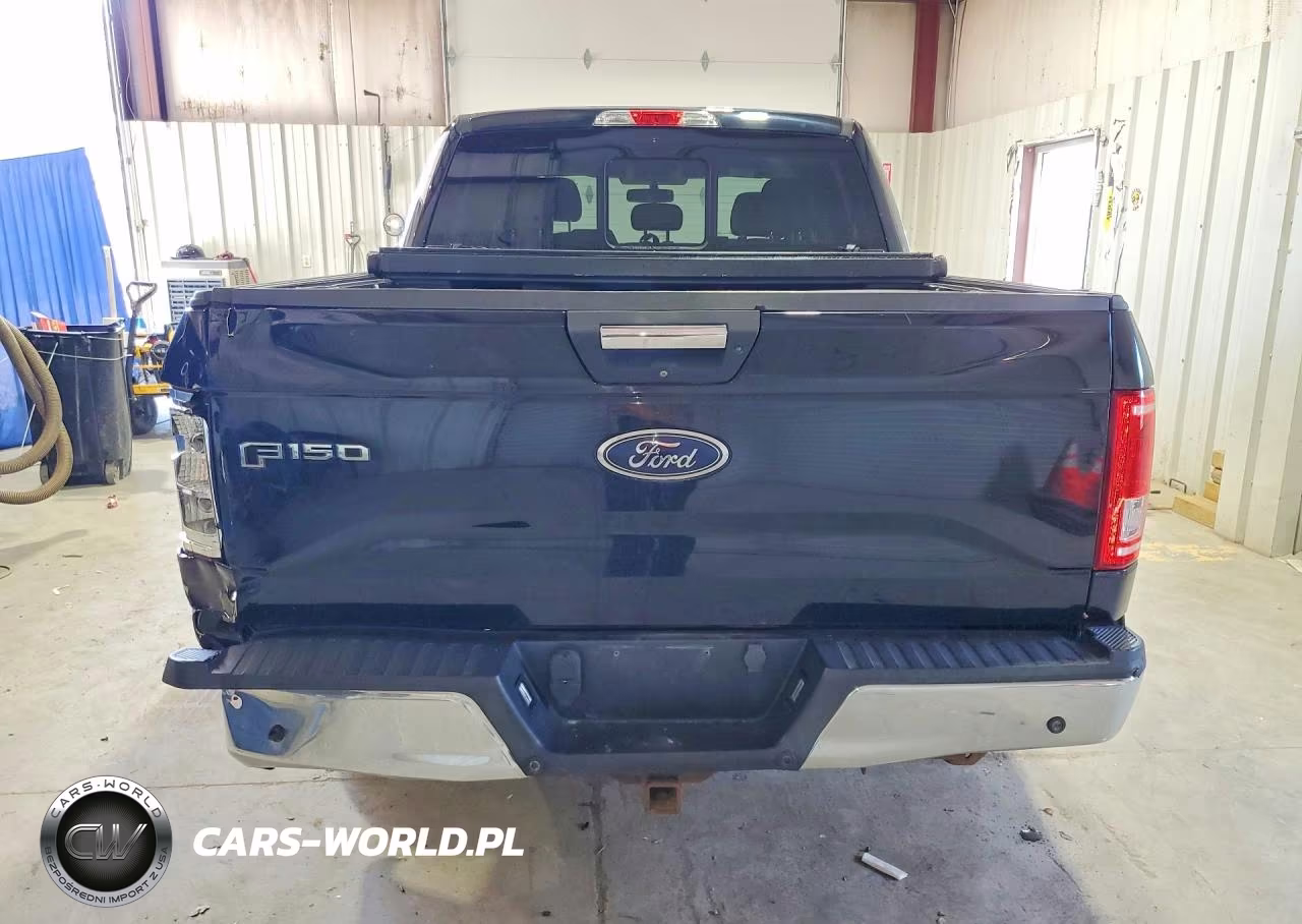 2016 Ford F150 Supercrew VIN:1FTEW1CP9GFB40798 - 6