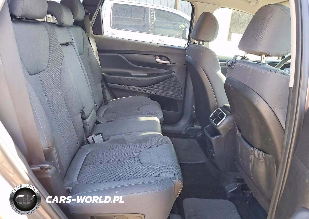 2020 Hyundai Santa Fe Sel VIN:5NMS3CADXLH217854 - 11