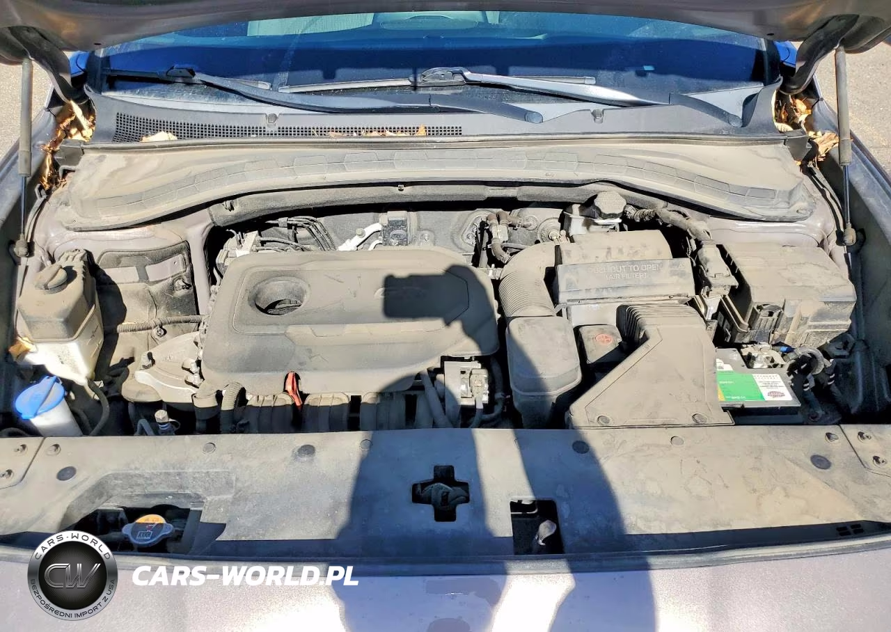 2020 Hyundai Santa Fe Sel VIN:5NMS3CADXLH217854 - 12