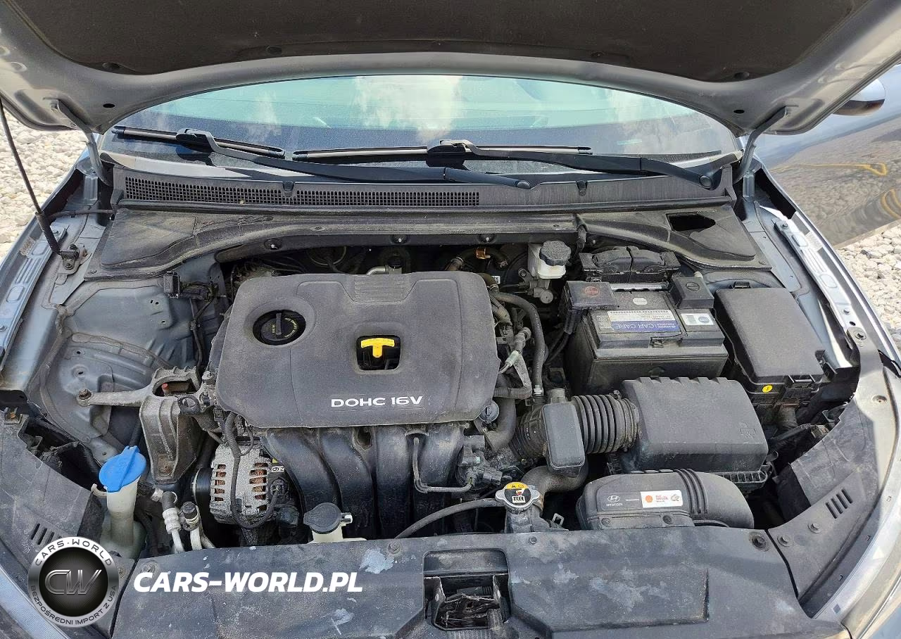 2019 Hyundai Veloster 2.0L VIN:KMHTG6AF3KU017669 - 11