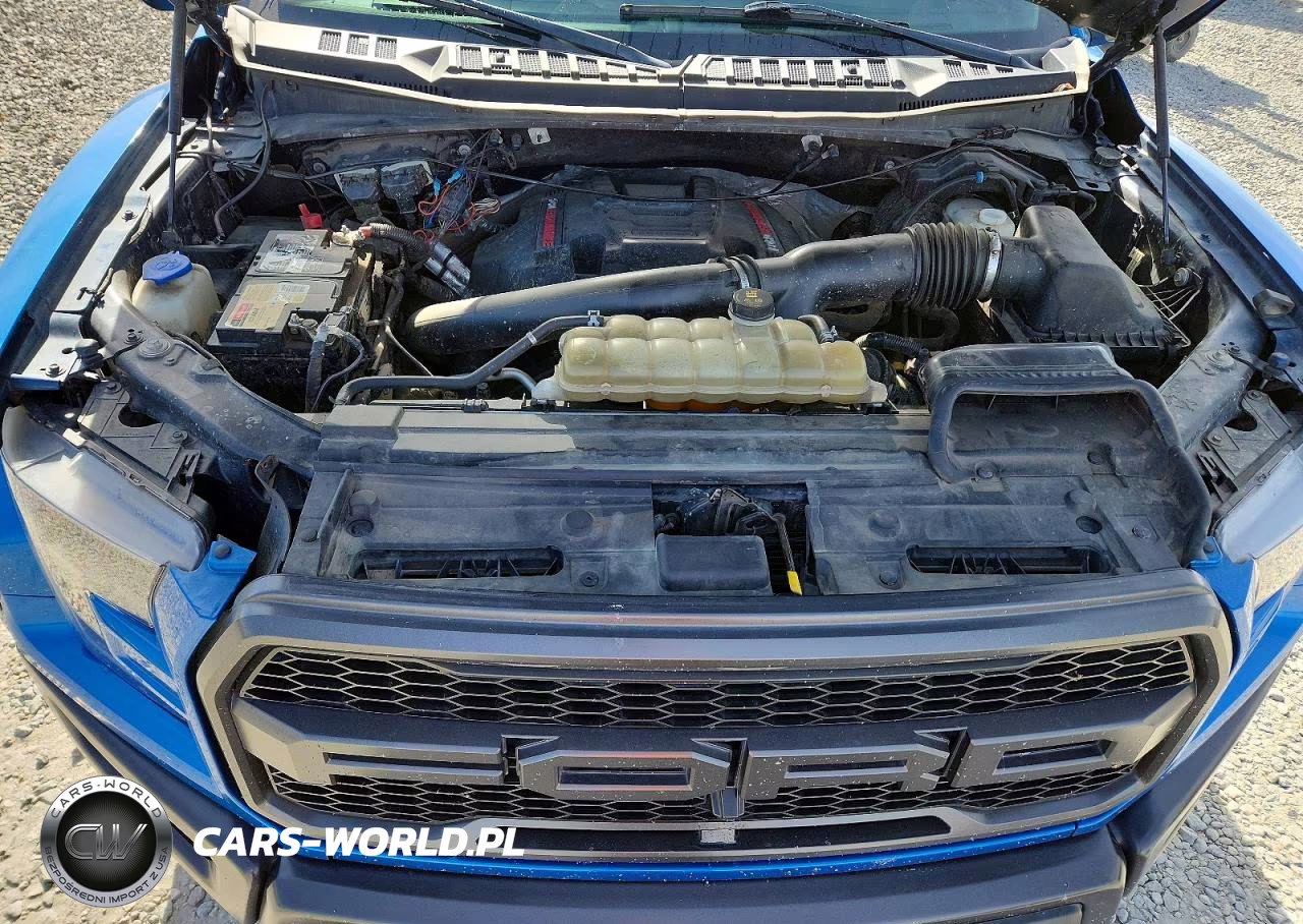 2019 Ford F150 Raptor VIN:1FTFW1RG1KFC86214 - 11