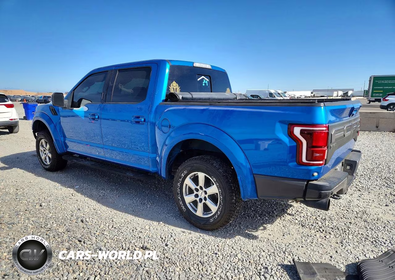2019 Ford F150 Raptor VIN:1FTFW1RG1KFC86214 - 2