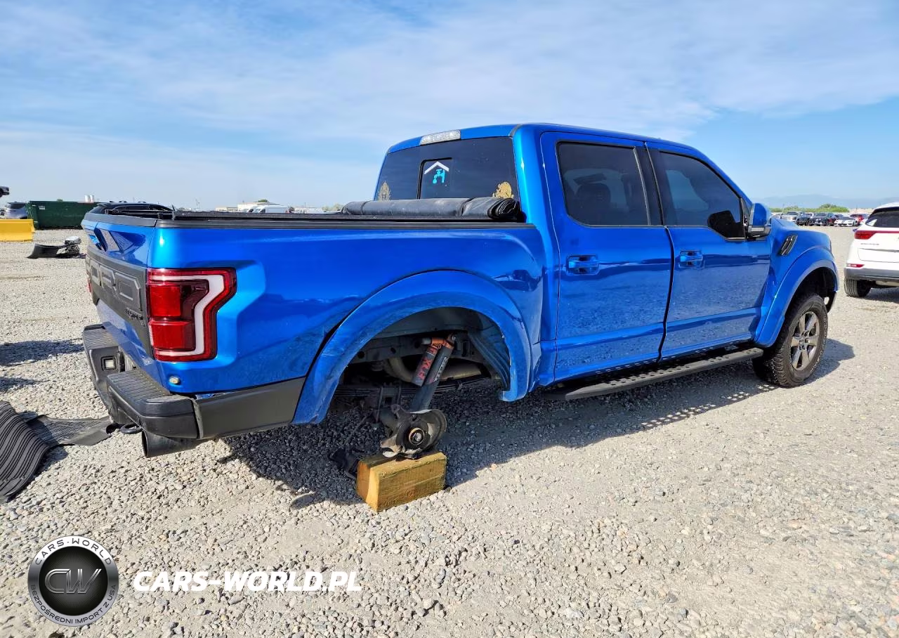 2019 Ford F150 Raptor VIN:1FTFW1RG1KFC86214 - 3