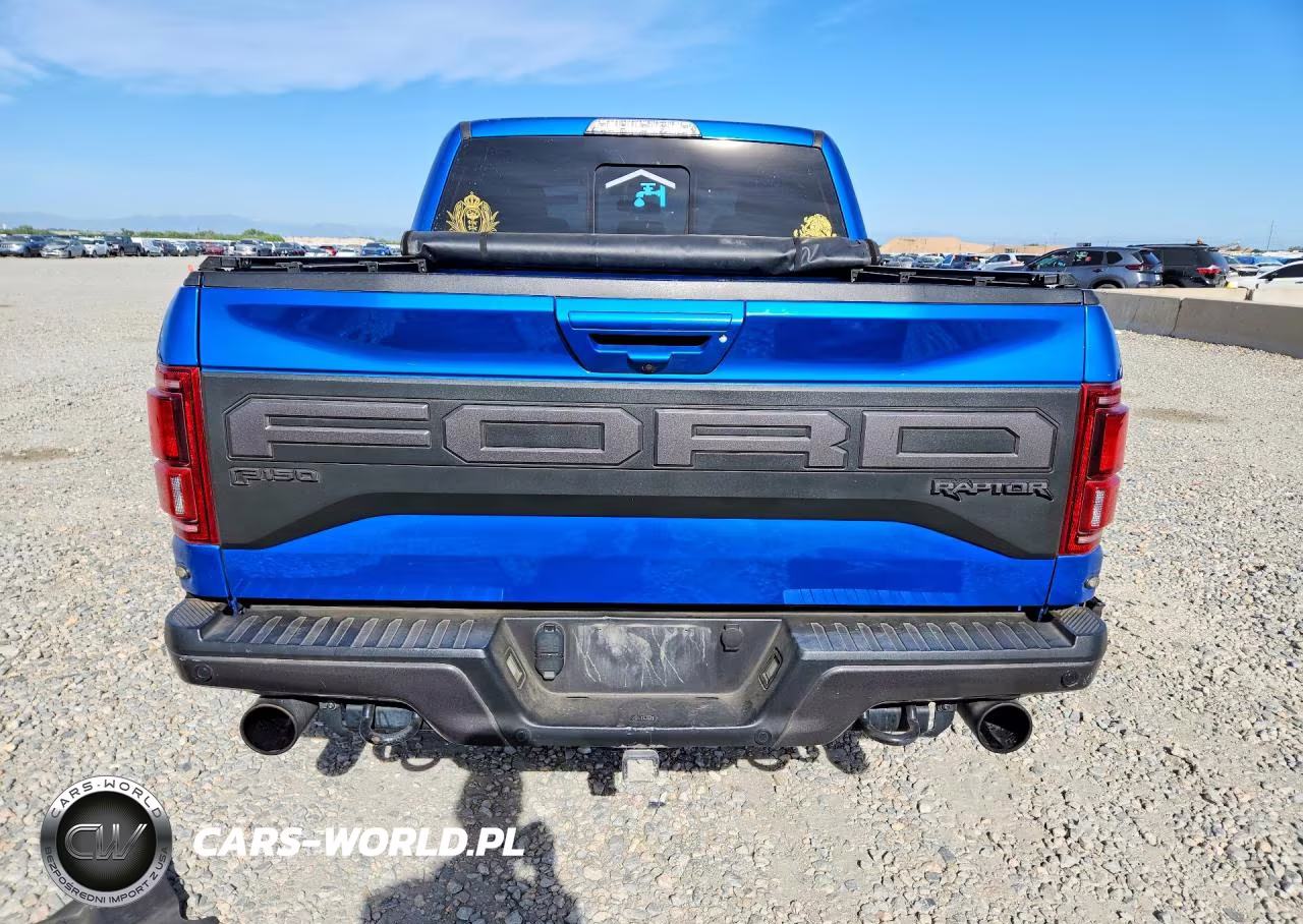 2019 Ford F150 Raptor VIN:1FTFW1RG1KFC86214 - 6