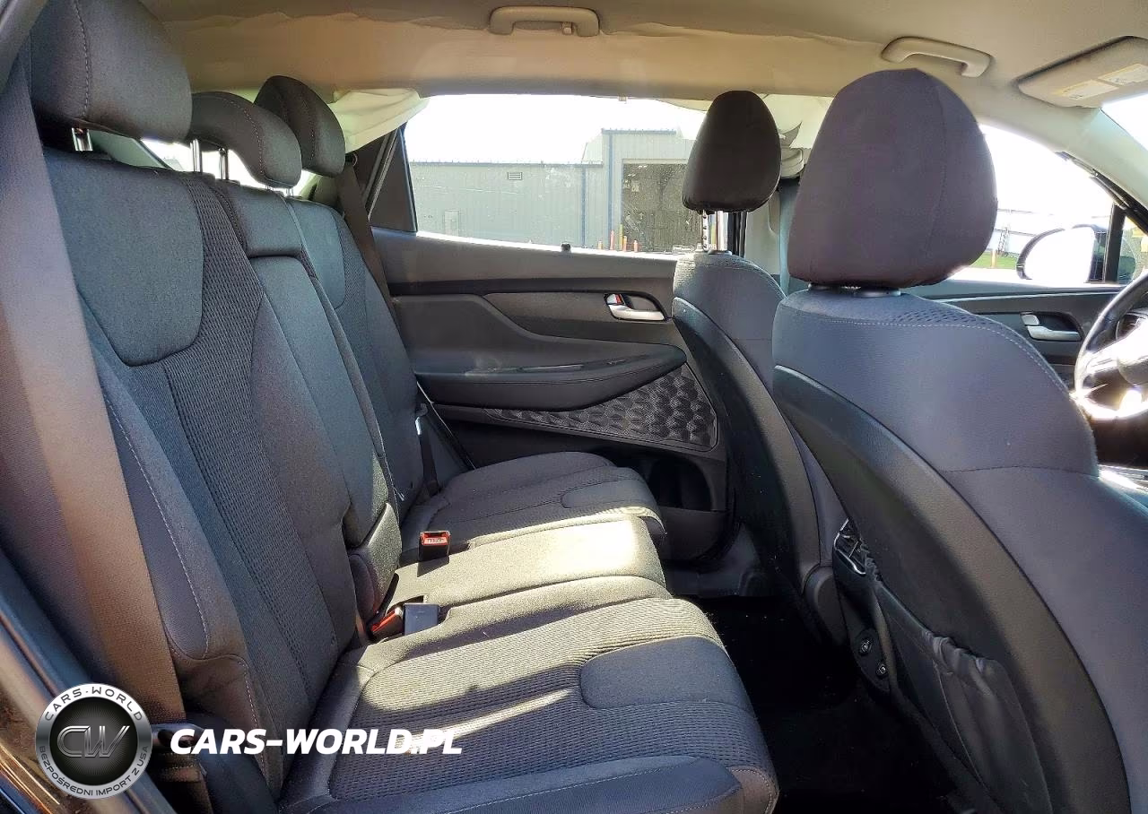 2022 Hyundai Santa Fe Xrt VIN:5NMS6DAJ0NH438174 - 10