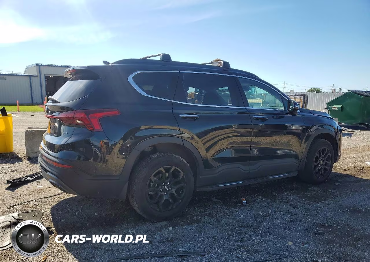 2022 Hyundai Santa Fe Xrt VIN:5NMS6DAJ0NH438174 - 3