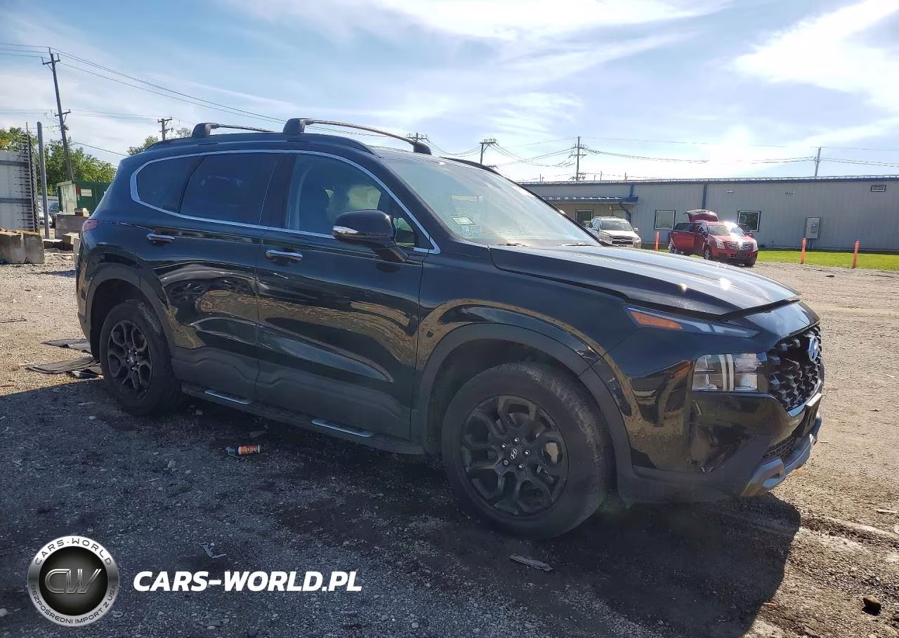 2022 Hyundai Santa Fe Xrt VIN:5NMS6DAJ0NH438174 - 4